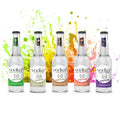 Vodka+ (Vodka Plus) Vodka Ginger Dry 4 Pack 275mL