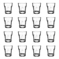 Blinkmax Premium Shot Glasses (16X45mL)