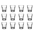 Blinkmax Premium Shot Glasses (12X45mL)