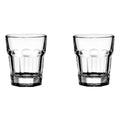 Blinkmax Premium Shot Glasses (2X45mL)
